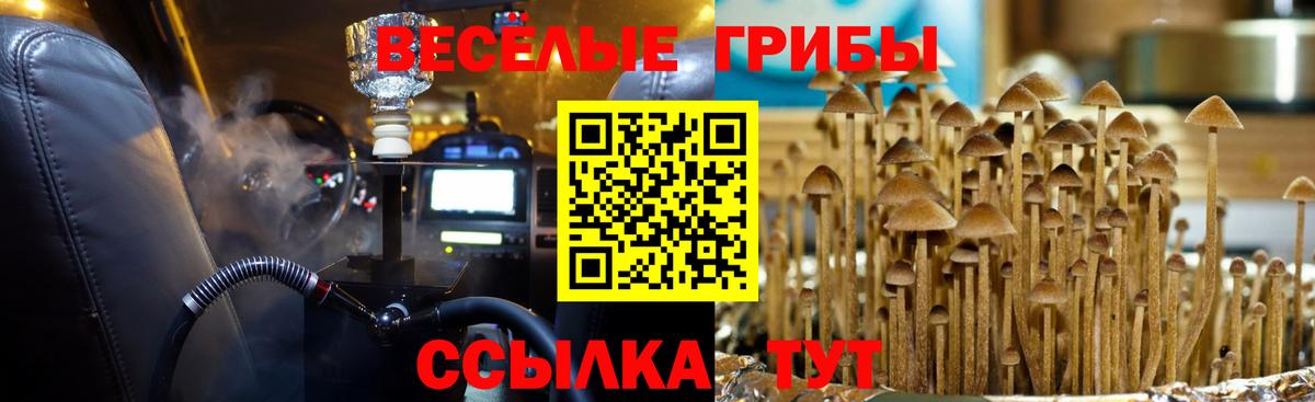 Галлюциногенные грибы ЛСД  Вход с VPN  даркнет сайт  Берёзовский  Галлюциногенные грибы Psilocybine cubensis 